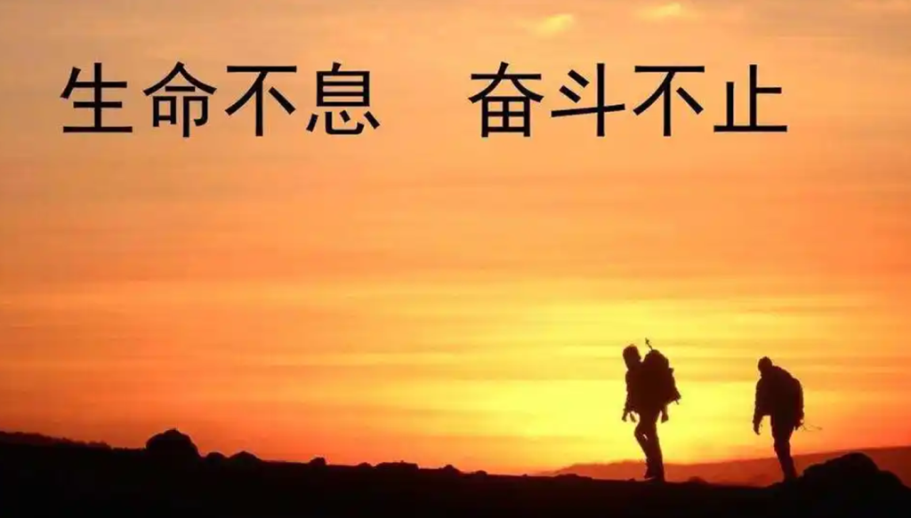 招募站长优优云网创-专注分享网络创业项目落地实操课程 – 全网首发_高质量创业项目输出优优云网创