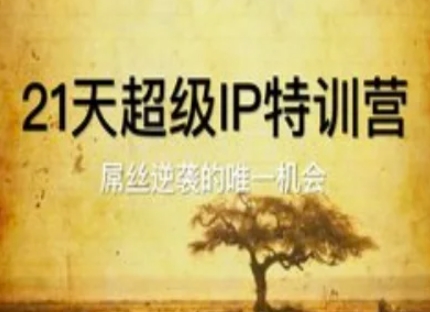 21天超级IP特训营，屌丝逆袭的唯一机会优优云网创-专注分享网络创业项目落地实操课程 – 全网首发_高质量创业项目输出优优云网创