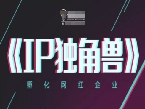 IP独角兽，孵化网红企业，ip教程优优云网创-专注分享网络创业项目落地实操课程 – 全网首发_高质量创业项目输出优优云网创