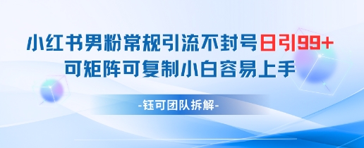 小红书男粉常规引流不封号日引99+变现简单 可矩阵可复制小白容易上手优优云网创-专注分享网络创业项目落地实操课程 – 全网首发_高质量创业项目输出优优云网创