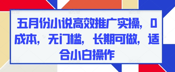五月份小说高效推广实操，0成本，无门槛，长期可做，适合小白操作优优云网创-专注分享网络创业项目落地实操课程 – 全网首发_高质量创业项目输出优优云网创