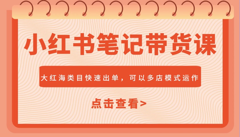 小红书笔记带货课，大红海类目快速出单，市场大，可以多店模式运作(更新)优优云网创-专注分享网络创业项目落地实操课程 – 全网首发_高质量创业项目输出优优云网创