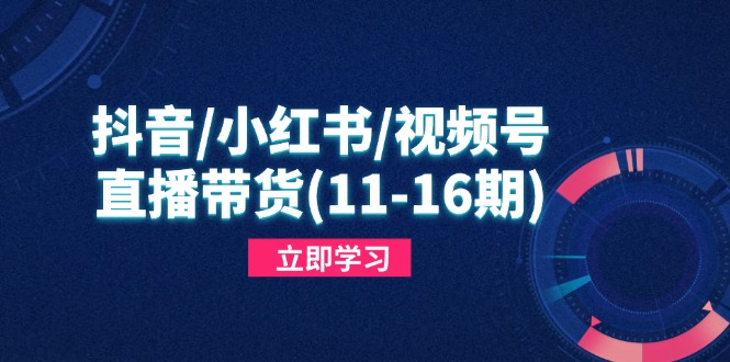 抖音/小红书/视频号/直播带货(11-16期优优云网创-专注分享网络创业项目落地实操课程 – 全网首发_高质量创业项目输出优优云网创