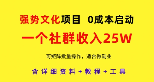 2025IP流量操盘手训练营，深入剖析商业IP操盘手职业发展(更新)优优云网创-专注分享网络创业项目落地实操课程 – 全网首发_高质量创业项目输出优优云网创
