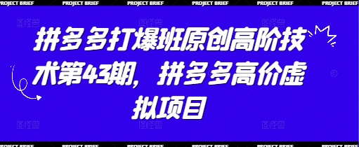 拼多多打爆班原创高阶技术第43期,拼多多高价虚拟项目优优云网创-专注分享网络创业项目落地实操课程 – 全网首发_高质量创业项目输出优优云网创