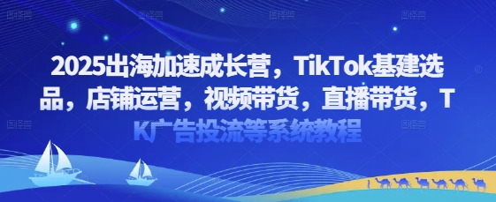 2025出海加速成长营，TikTok基建选品，店铺运营，视频带货，直播带货，TK广告投流等系统教程优优云网创-专注分享网络创业项目落地实操课程 – 全网首发_高质量创业项目输出优优云网创