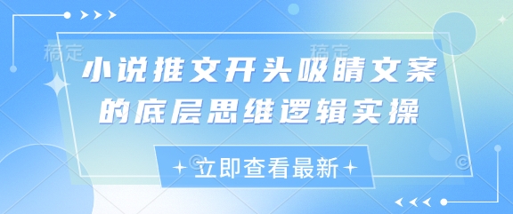 小说推文开头吸睛文案的底层思维逻辑实操优优云网创-专注分享网络创业项目落地实操课程 – 全网首发_高质量创业项目输出优优云网创